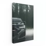 Acura TLX in Misty Forest - Sleek and Serene Ride