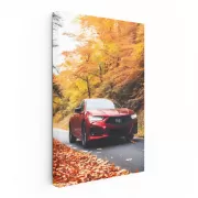 Acura TLX amidst Autumn Foliage - Sleek and Sophisticated