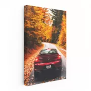 Acura TLX in Autumn Woods - Elegance Meets Performance