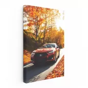 Acura TLX in Autumn Woods - Elegant Performance Redefined