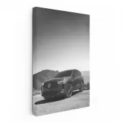 Acura Black & White - Model 2, Sleek and Stylish Ride