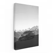 Acura BW 3 - Sleek and Stylish Performance Machine