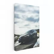 Acura in Overcast Skies - Blend of Elegance and Power