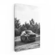 Cadillac Black & White 2 - Classic Elegance in Motion