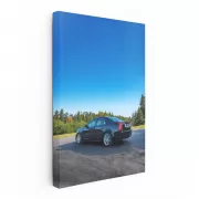 Sleek Cadillac in Natural Setting - Elegance on Wheels