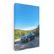 Black Cadillac in Nature - Elegance and Power