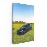 Black Cadillac in Field - Elegance and Power