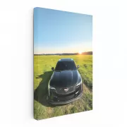 Black Cadillac in Field - Bold, Sleek, and Luxurious