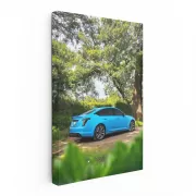 Forest Blue Cadillac - Classic Beauty in Nature