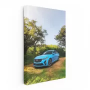 Forest Blue Cadillac - Timeless Elegance in Motion