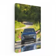 Blue Cadillac in Park - Iconic Style and Grace