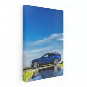 Classic Blue Cadillac Elegance in Park - Timeless Beauty