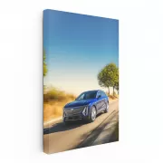 Cadillac Navigates Forest - Sleek and Adventurous Drive