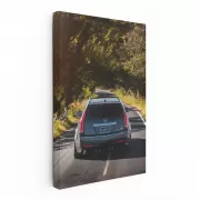 Cadillac Navigates Forest Roads - Luxury in Motion