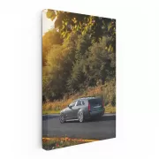 Cadillac Navigates Forest - Adventure Awaits in Style