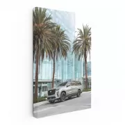 Cadillac in Gray Beneath Palm Tree - Elegant and Timeless