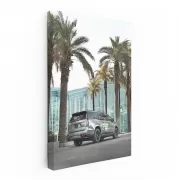 Cadillac in Gray Under Palm Tree - Sleek Elegance