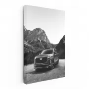 Monochrome Cadillac Elegance - Timeless Style in Motion