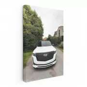 Vintage White Cadillac in Village - Classic Elegance