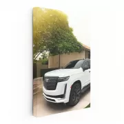 White Cadillac in Village - Timeless Elegance on Wheels