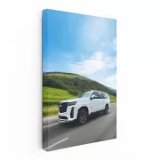 Elegant White Cadillac Cruising Highway - Classic Ride