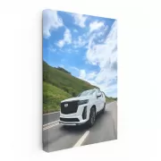 Cadillac in White Cruising Road - Elegance in Motion