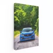 Honda Civic in Blue Amidst Nature - Blend of Style and Grace