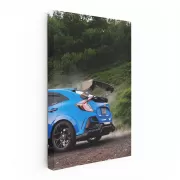 Honda Civic in Blue: Urban Style Meets Nature's Serenity