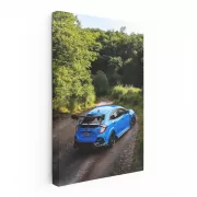 Blue Honda Civic in Forest - Stylish and Sophisticated