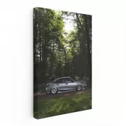 Honda Civic in Forest - Reliable and Stylish Ride