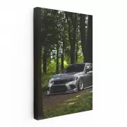 Honda Civic in Woods - Reliable and Efficient Drive