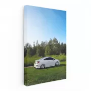 Honda Civic Nature Scene 4 - Reliable and Stylish