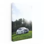 Honda Civic Nature - Scenic Drive, Sleek Performance