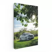 Honda Civic Nature Adventure 4 - Dynamic and Stylish