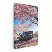 Black Honda Civic Beneath Sakura - Elegant and Stylish