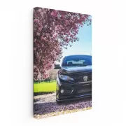 Black Honda Civic beneath Cherry Blossoms - Sleek Elegance