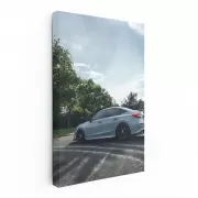 Honda Civic in Natural Setting - Stylish and Efficient