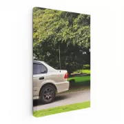 Honda Civic Amidst Nature - Sleek and Reliable Ride