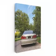 Honda Civic Exploring Nature - Sleek and Adventurous