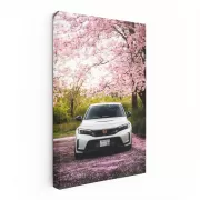 Honda Civic Cruising Kyoto Streets - Compact Elegance