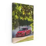 Red Honda Civic in Wild - Compact and Adventurous