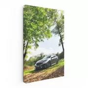 Silver Honda Civic in Forest - Agile and Stylish Ride