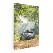 Silver Honda Civic in Forest - Elegant and Reliable