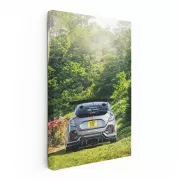 Silver Honda Civic Amidst Forest - Sleek and Adventurous