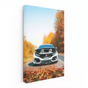 White Honda Civic in Autumn Park - Sleek and Stylish Ride