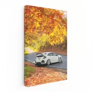 White Honda Civic in Autumn Park - Sleek and Stylish Ride