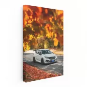 White Honda Civic in Autumn Park - Sleek, Reliable Ride