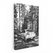 Mitsubishi Lancer Black & White - Sporty & Sleek Design